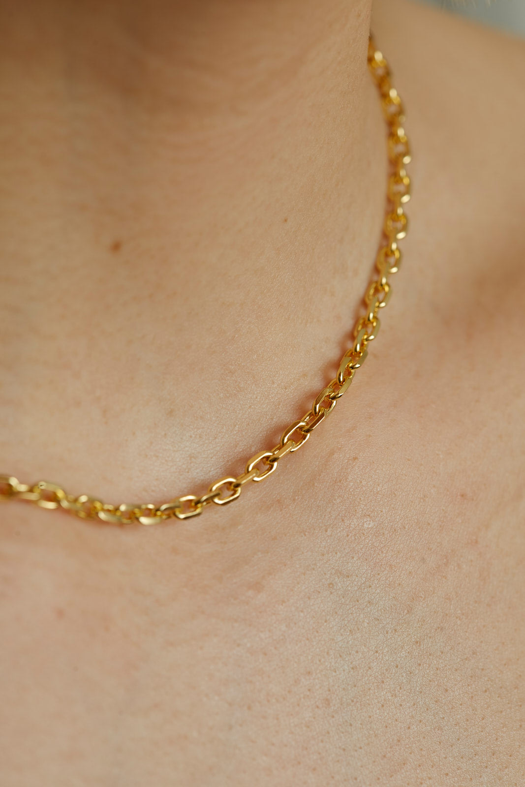 TWIN CHAIN